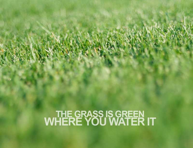  Rumput tetangga lebih hijau