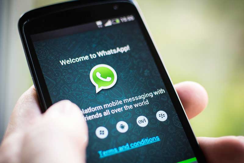 Whatsapp Gratis Seumur Hidup