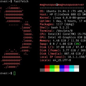Tutorial Lengkap Install Fastfetch di Ubuntu 24.04 LTS