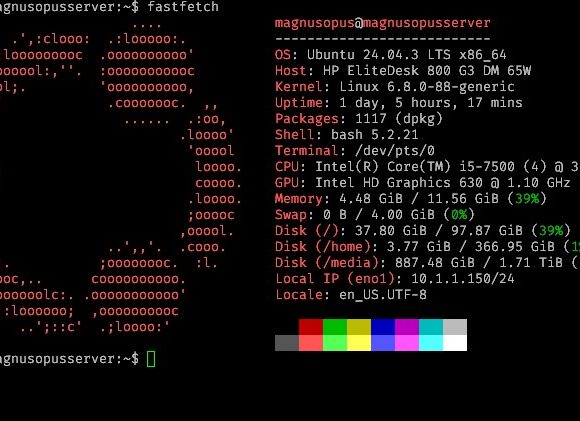 fastfetch Tutorial Lengkap Install Fastfetch di Ubuntu 24.04 LTS